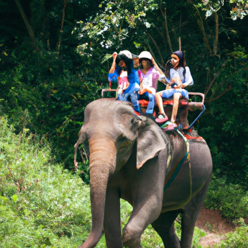 7. ילדים משתתפים בטרק פילים מהנה בצפון תאילנד